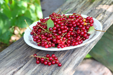 Similar image 21523626