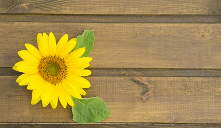 Similar image 21504464