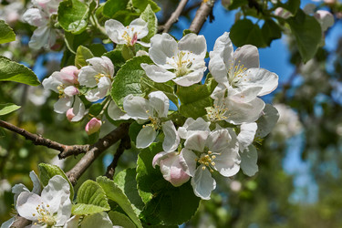 Similar image 21516504