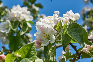 Similar image 21513606