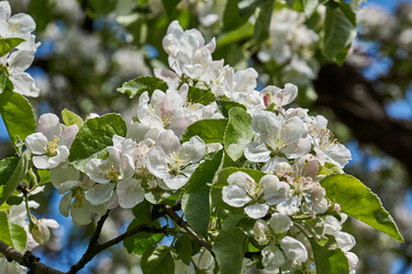 Similar image 21514049