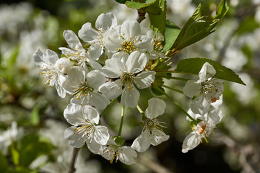 Similar image 21516505