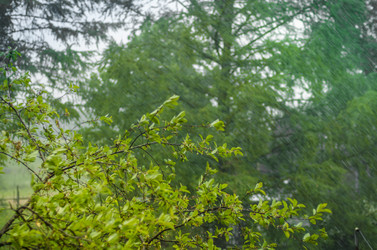 Similar image 21504663