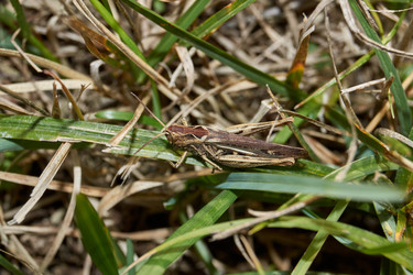 Similar image 21519567