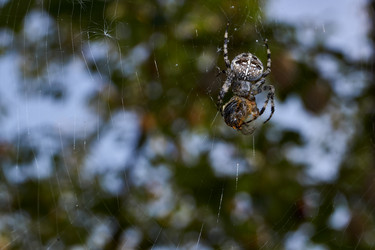 Similar image 21516825