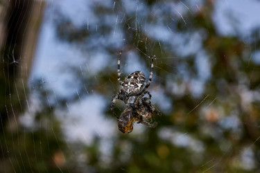 Similar image 21519035