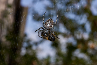 Similar image 21516506