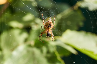 Similar image 21517761