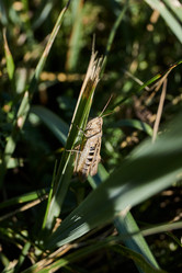 Similar image 21516508