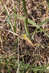 Similar image 21516826