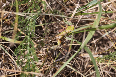 Similar image 21516509