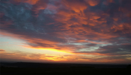 Similar image 21505050