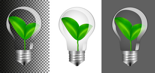 Similar image 21505090