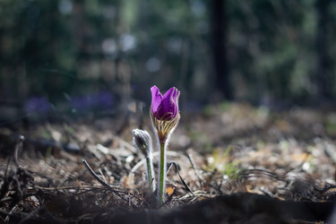 Similar image 21511830