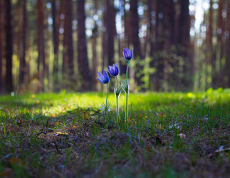 Similar image 21511832