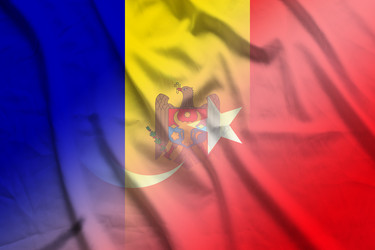 Similar image 21522460