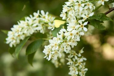 Similar image 21508779