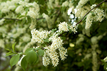 Similar image 21508780