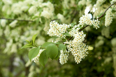 Similar image 21508781