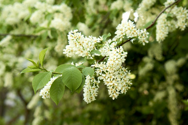 Similar image 21508782