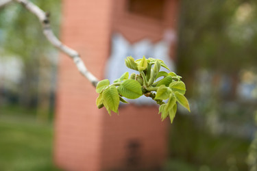 Similar image 21508784