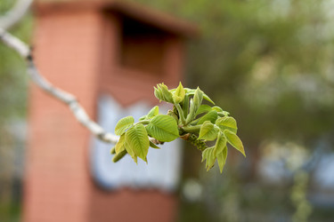 Similar image 21508785