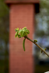 Similar image 21508786