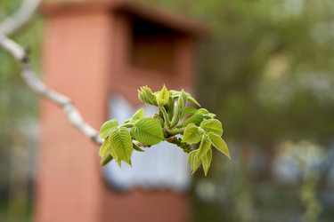 Similar image 21508787