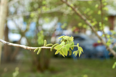 Similar image 21508788