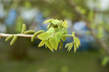 Similar image 21508789