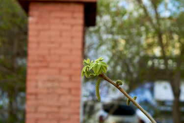 Similar image 21508790