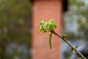 Similar image 21508791