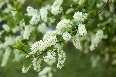 Similar image 21508792