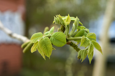 Similar image 21508794