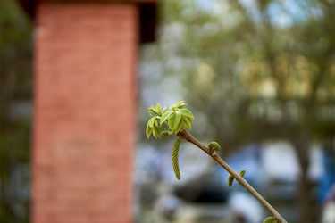 Similar image 21508795