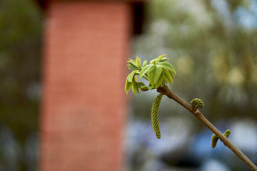 Similar image 21508796