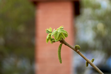 Similar image 21508797