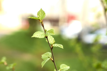 Similar image 21508799