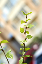 Similar image 21508800