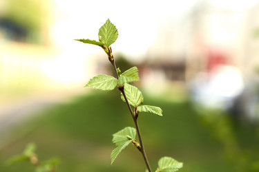 Similar image 21508801