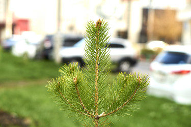 Similar image 21508802