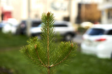 Similar image 21508803