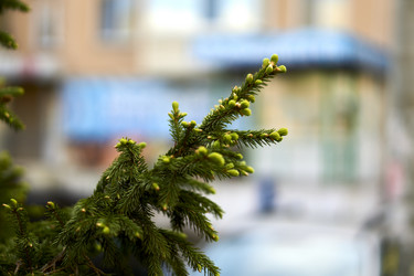 Similar image 21508805