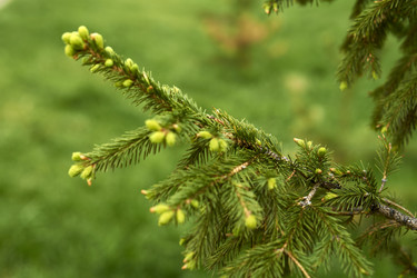 Similar image 21508806