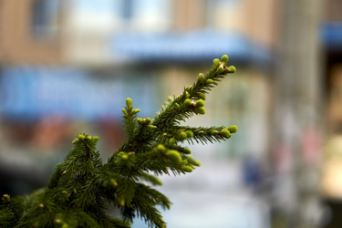 Similar image 21508807