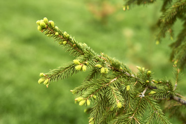 Similar image 21508808