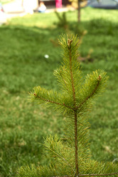 Similar image 21508809