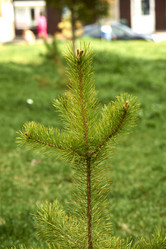 Similar image 21508810