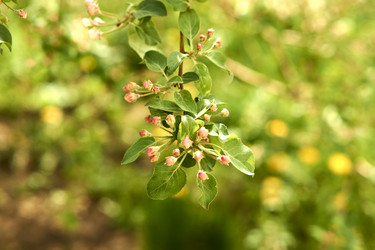 Similar image 21508811