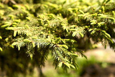 Similar image 21508812